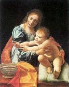 BOLTRAFFIO, Giovanni Antonio The Virgin and Child 1 Sweden oil painting artist
